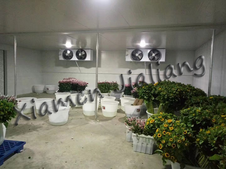 Best Practices and Benefits for Cold Room Flower Storage