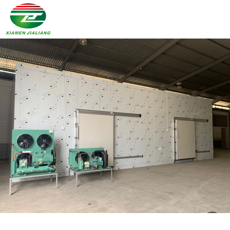 Big Cold Room Projects Venezuela Frozen Sardine Cold Room