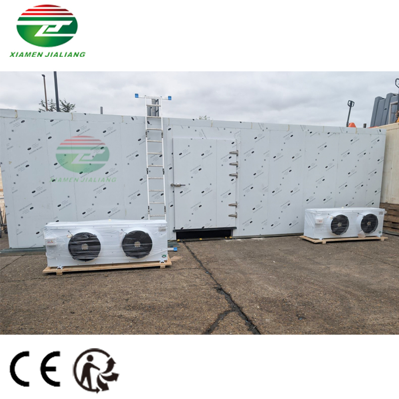 100 cubic meter cold room 100 cubic meter cold room