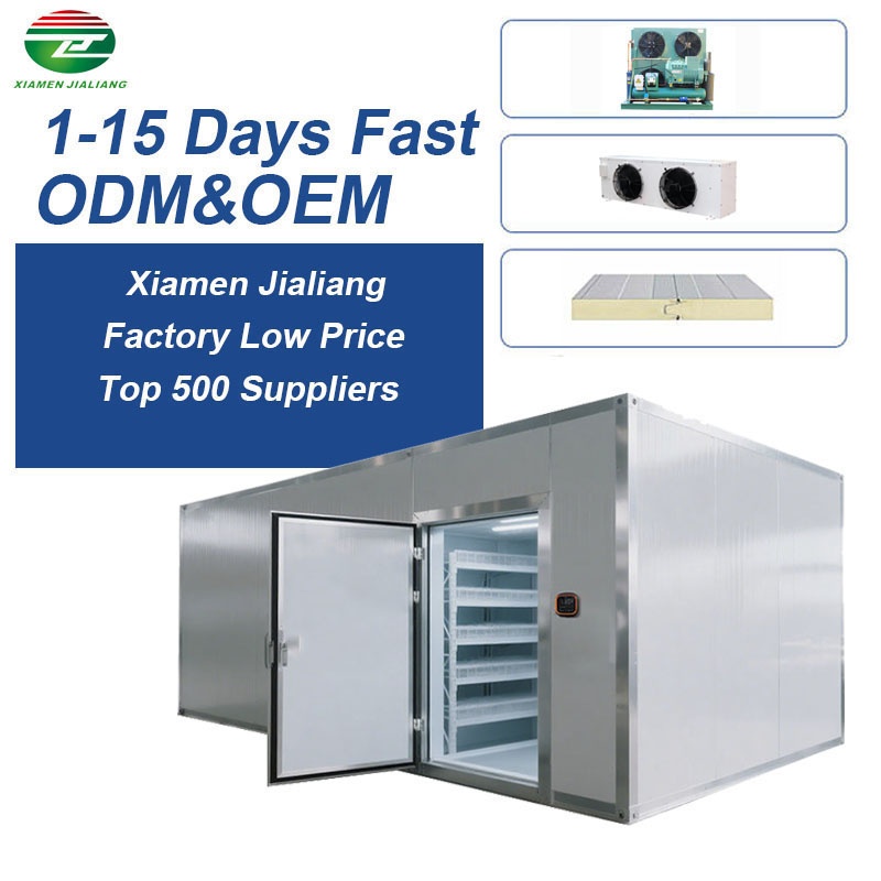 Walk in Cold Room Freezer Chiller Room Walk in Cold Room Freezer Chiller Room