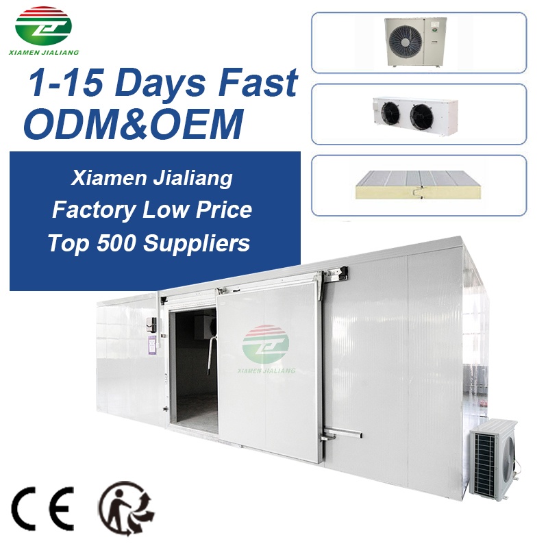 cold room storage freezing room