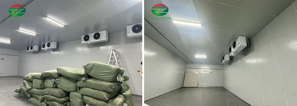 walk in cold room price