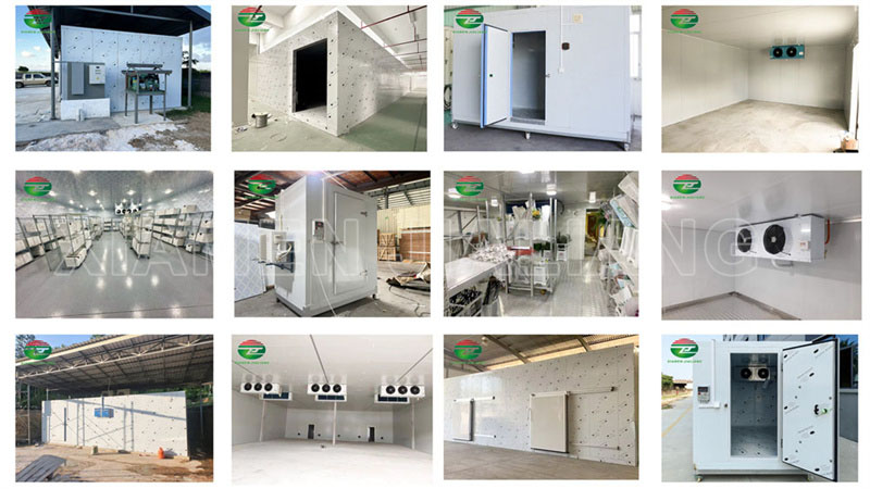 vegetable cold room