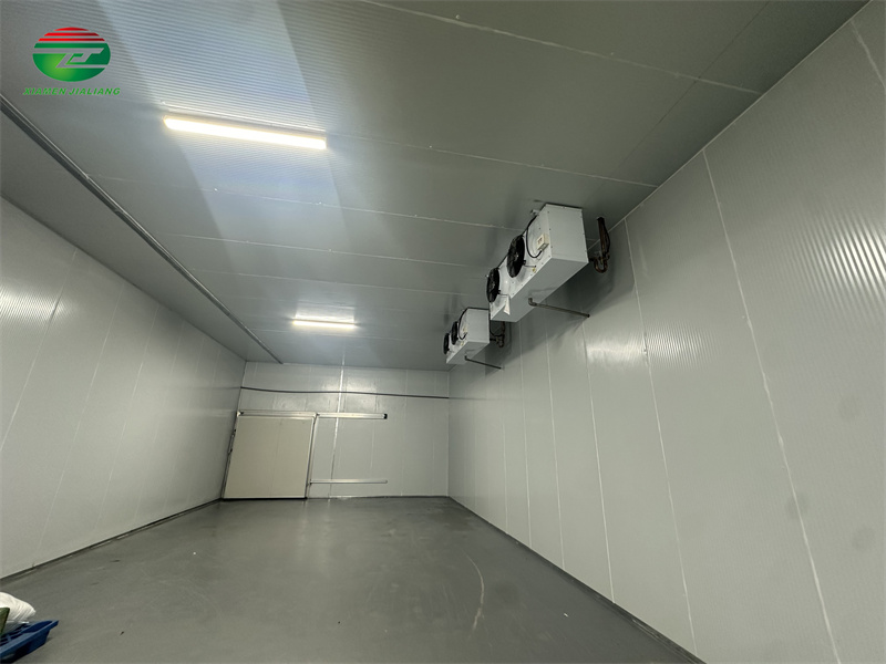 big frozen room cold storage