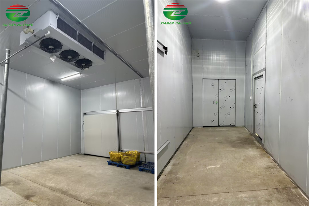 portable cold room freezer