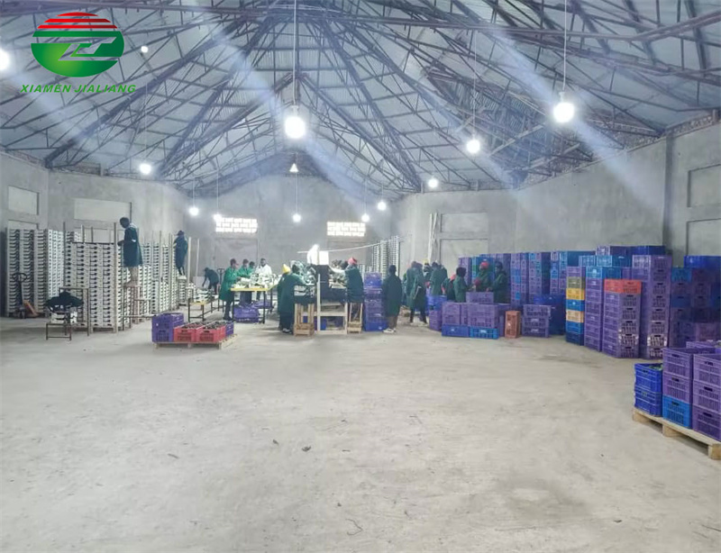cold storage room warehouse