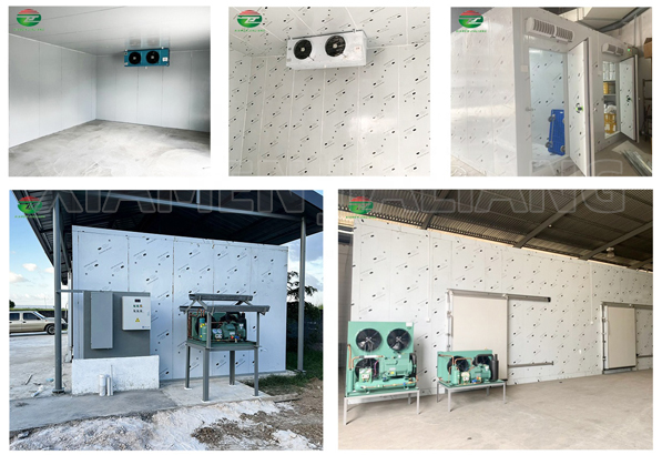 cooling room cold room