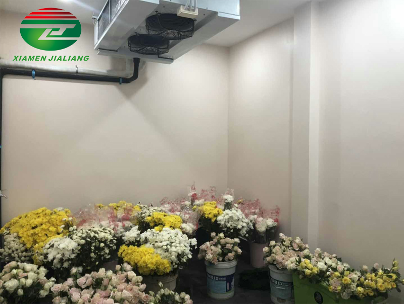 chiller room cold storage
