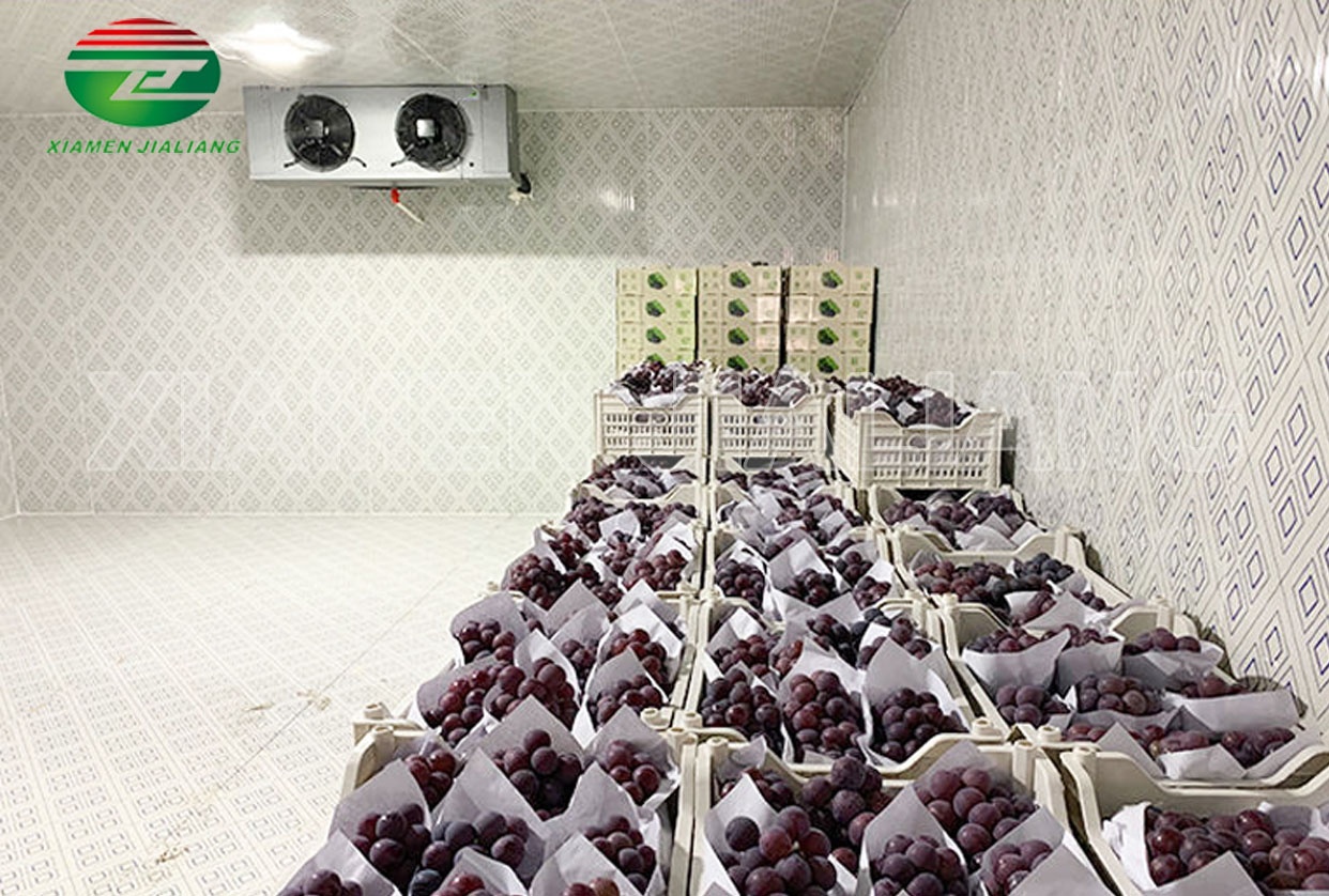 fruits cold room