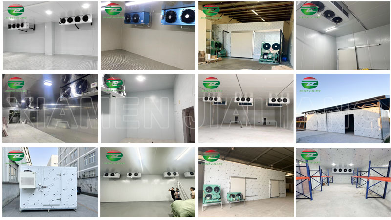 freezer cold storage room