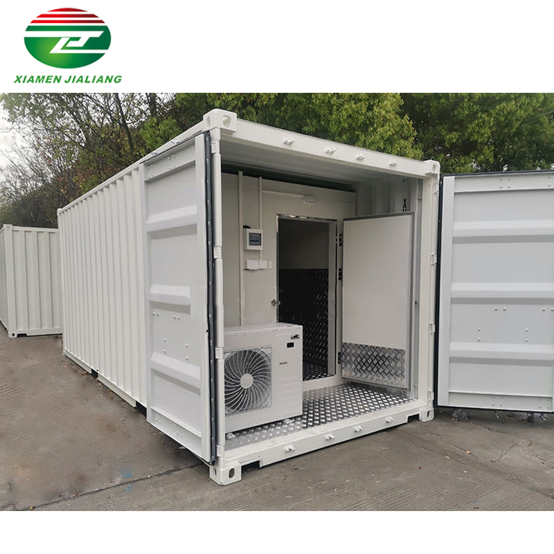 Container Freezer Room